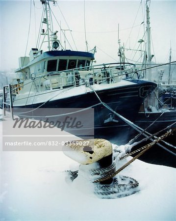 Fishing Trawler, Howth Harbour, Co Dublin, Ireland