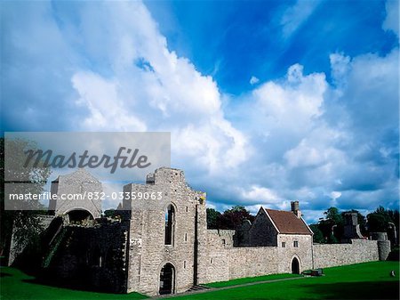 Co Roscommon, Boyle Abbey