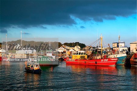 Greencastle, County Donegal, Ireland; Boats in harbour