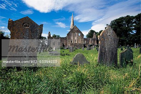 Abbaye Sainte-Marie, New Ross Town, comté de Wexford, Irlande ; L'abbaye et le cimetière historique des irlandais