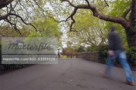 Person crossing bridge, St. Stephen's Green, Dublin City, County Dublin, Ireland