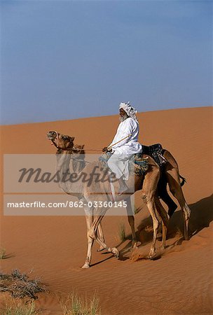 A Bedu rides his camel down the face of a sand dune in the desert