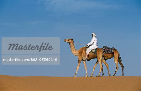 A Bedu rides his camel along the crest of a sand dune in the desert