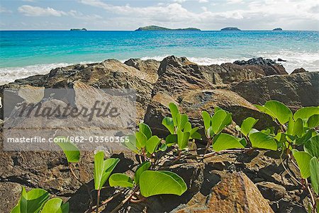 South Pacific,Fiji,Kadavu. Rocky outcrop on a deserted beach on the east coast of Yaukuve Island.