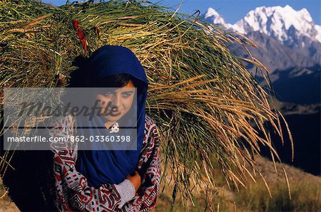 Eine Mädchen Hunzukuc zurück Startseite mit Futter für ihr Vieh im Hunza-Tal.