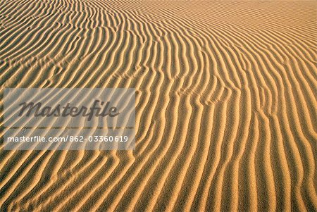Windblown ripples in the sand dunes,near Ica in southern Peru