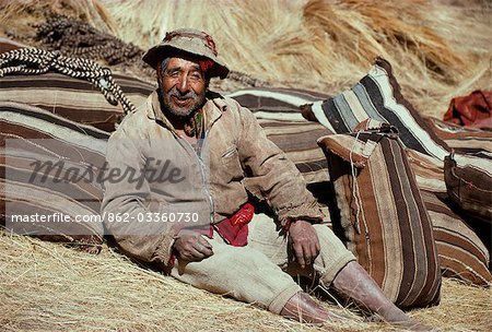 Potato harvesting in fields in the highlands. An old man leans against the raw llama wool sacks. Each stripe the colour of the animal it came from. There are over 200 species of potato and nearly 3,000 varieties in this country that was there origin. The domestication of the potato,maize,llama and guinea pig were the foundation upon which the early andean civilisations were built.