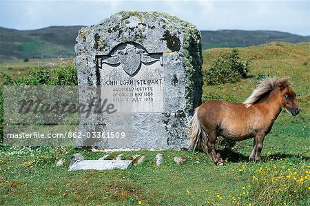 Un poney Eriskay se trouve à côté de la memorial à John Lorn Stewart juste à l'extérieur de Arinagour