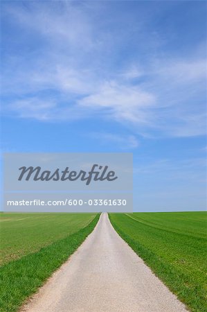 Path Through Fields in Spring, Halbturn, Burgenland, Austria