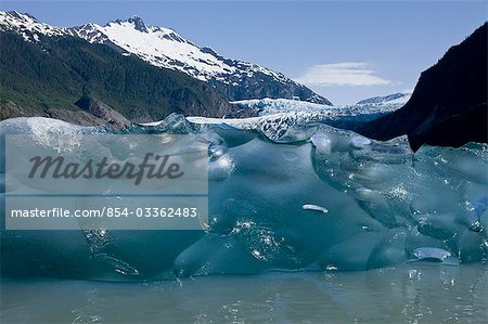 Recently calved from the terminus of Mendenhall Glacier in Mendenhall Lake, an iceberg reveals the blue ice glaciers are so well known for.