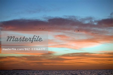 Mali,Niger Inland Delta. A beautiful dawn sky across Lake Debo with egrets flying overhead.