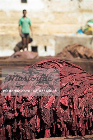 Animal skins are put out to dry in the tanneries in Old Fez,Morocco. In the white pits,animal hides are soaked for a week in lime and bird droppings to bleach the skin and remove the hair. The skins are then moved to the brown pits where they are coloured using natural dyes.