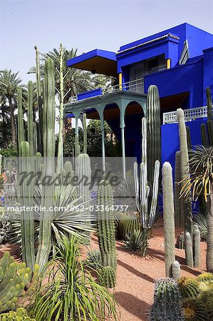 The sub-tropical Jardin Majorelle in the Ville Nouvelle of Marrakech. Designed by the French painter Jacques Majorelle who lived here from 1922 to 1962,it is now owned by the fashion designer Yves Saint-Laurent. The central blue building is also home to the Museum of Islamic Art.