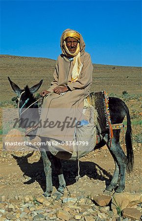 Marokko, Anti-Atlas-Gebirge. Ein Berber-Mann hält bei seinem Maultier auf dem Weg zu seinem Heimatdorf.