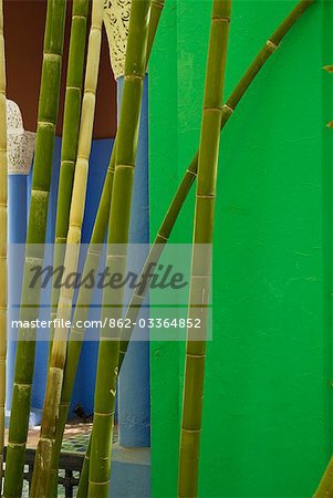 Morocco,Marrakech,Jardin Majorelle. The Majorelle Garden is a botanical garden in Marrakech,Morocco. It was designed by the expatriate French artist Jacques Majorelle in 1924 and since 1980 the garden has been owned by Yves Saint-Laurent and Pierre Bergé.