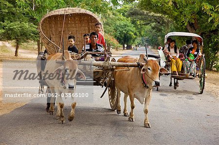 Myanmar. La Birmanie. Bagan. Une charrette tirée ferme passe une calèche sur la route au marché de Nyaung U.