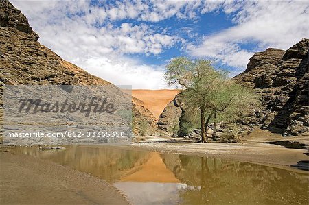 Namibie, Parc National de Namib Naukluft. Le Kuiseb Canyon forme la limite sud du parc du Namib Desert. La rivière coule qu'occasionnellement et ne parvient pas à la mer.