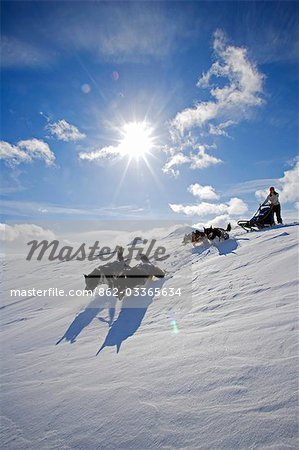 Tromsø, Norwegen Lyngen Alpen. Im Tiefschnee am oberen Rand der Lyngen Alpen fährt ein Musher sein Hund Seld Dampf bei Geschwindigkeit über unmarkierte Neuschnee.