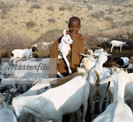 In the early morning,a young Samburu girl takes a kid to its mother. She will then milk the nanny goat leaving half the milk for the kid. Only women and children milk goats although every member of the family will drink the milk.