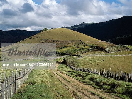 Un petit chemin de terre serpente agriculture beau pays au sommet des collines de Cherangani de 11 000 pieds de haut. Là, les petites exploitations Pokot paysans cultivent maïs, pommes de terre et le pyrèthre et garder le bétail.