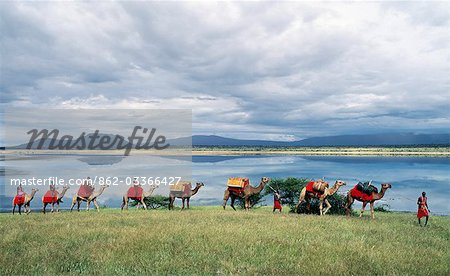Maasai men lead a camel caravan laden with equipment for a 'fly camp' (a small temporary camp) past Lake Magadi. Clouds hang low over the Nguruman Escarpment (a western wall of the Great Rift Valley) in the distance.