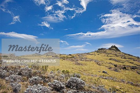 Kenya, Kenya Highlands. Les marécages sombres des montagnes Aberdare avec Oldoinyo Le Satima, le point culminant des Monts, s'élevant à 13 123 pieds au loin.