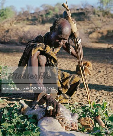 Kenya, Province de la vallée du Rift, Lokiriama. Un devin Turkana agit comme un guérisseur pour diagnostiquer la cause de la maladie de la personne en examinant les intestins de chèvre spécialement abattue avant enduisant sa patiente avec son chyme - le contenu de l'estomac partiellement digérée de l'animal.