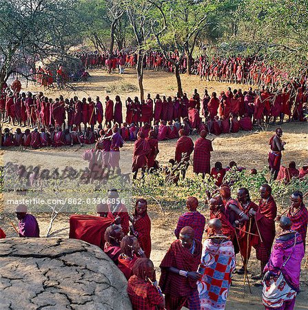 Africa,Kenya,Kajiado District,Ol doinyo Orok. A large gathering of Maasai warriors during an Eunoto ceremony when the warriors become junior elders and thenceforth are permitted to marry.