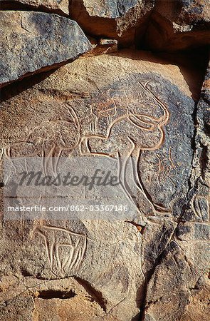 Superb example of rock carving depicting Ostriches,in the Wadi Methkandoush on the southern side of the Msak Settafet,Libyan Sahara,Libya