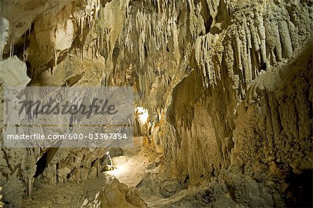 Intérieur de la grotte, Takaka, Golden Bay District, région de Nelson, South Island, Nouvelle-Zélande