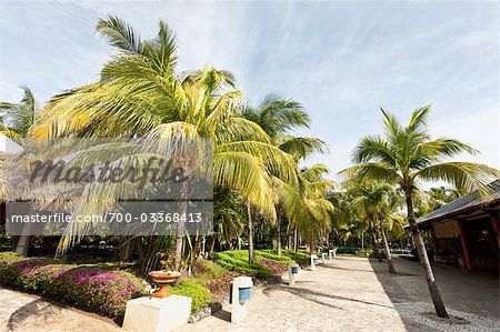 Resort, Varadero, Cuba