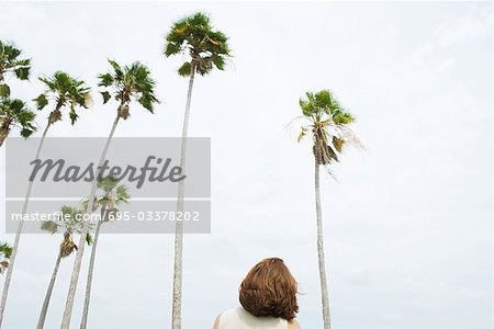 Woman facing palm trees, rear view, low angle