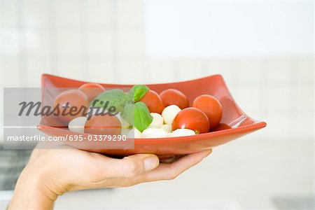 Main de femme tenant un plat de salade de tomates mozzarella