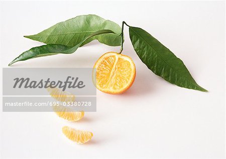 Clementine, die Hälfte mit Laub und Segmente