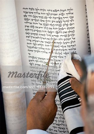 Israel, Jerusalem, hand pointing at Torah with olive branch, close-up