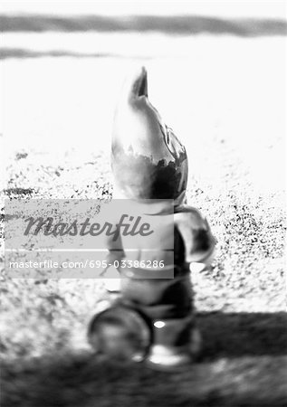 Garden gnome, rear view, b&w.