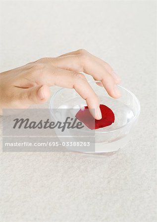 Woman's hand touching rose petal in bowl of water