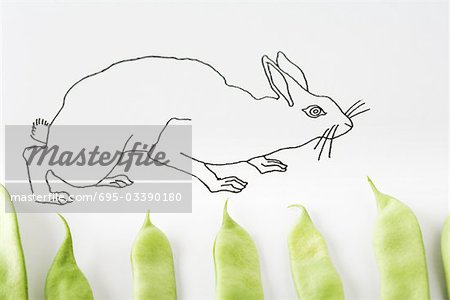 Drawing of rabbit walking on fresh pea pods