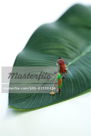 Femmes miniature essuyage flaque d'eau sur les feuilles