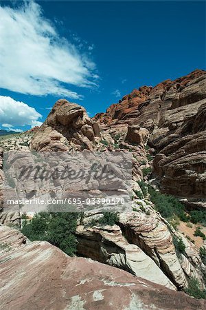 Red Rock Canyon, Nevada, USA