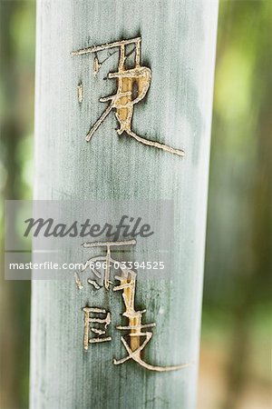 Caractères chinois sculptés en bambou, gros plan