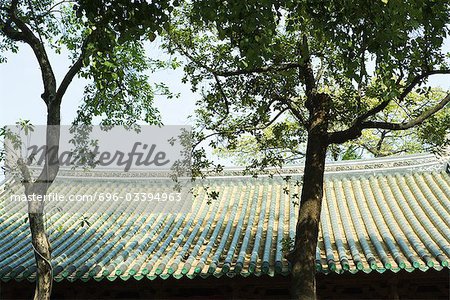 Chinese temple, roof