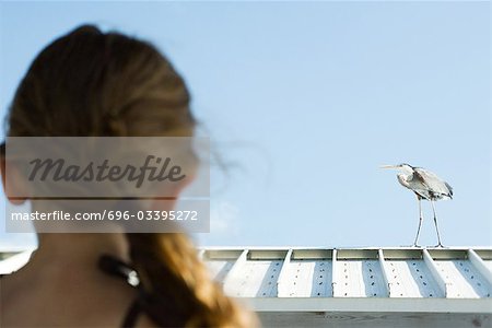Little girl watching heron, over the shoulder view, focus on background
