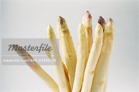 White asparagus, close-up, cropped