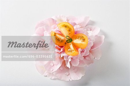 Cherry tomato cut in the shape of a butterfly resting on top of pink carnation with dew drops, close-up