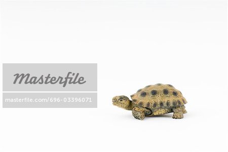 Spielzeug-Schildkröte, Seitenansicht, Nahaufnahme