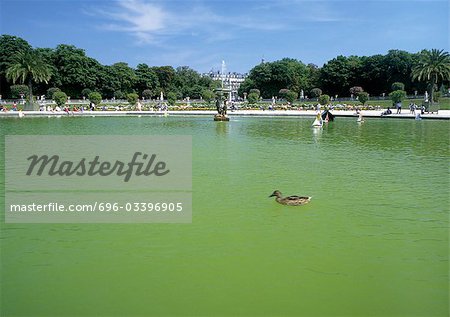 Fontaine dans le parc de canard