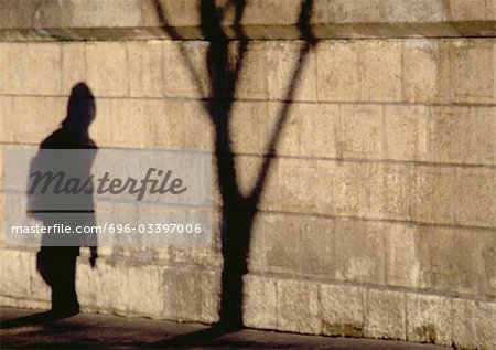 Shadow of person and tree on stone wall