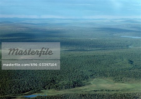 Finland, forests, aerial view