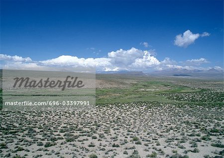 Chile, El Norte Grande, Altiplano, Lauca Nationalpark, Flatland mit niedrigen Gräsern, Wolken am Horizont